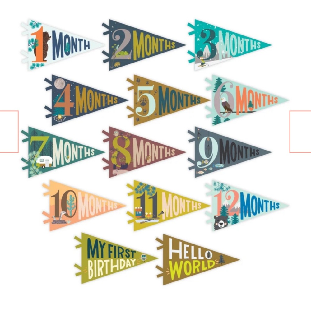 Lucy Darling Milestone Baby Pennants